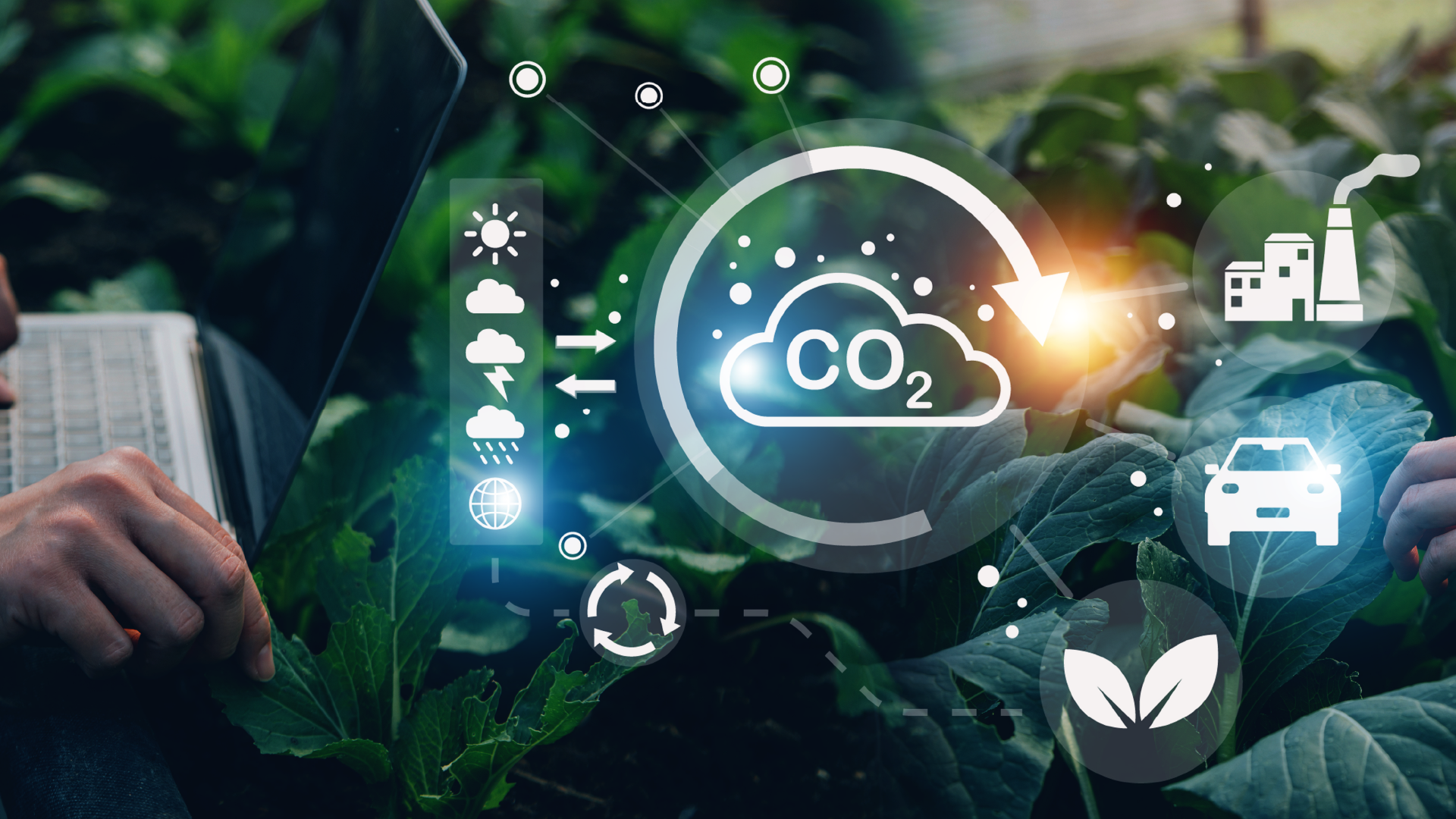 Global Hackathon to Boost the Carbon Market