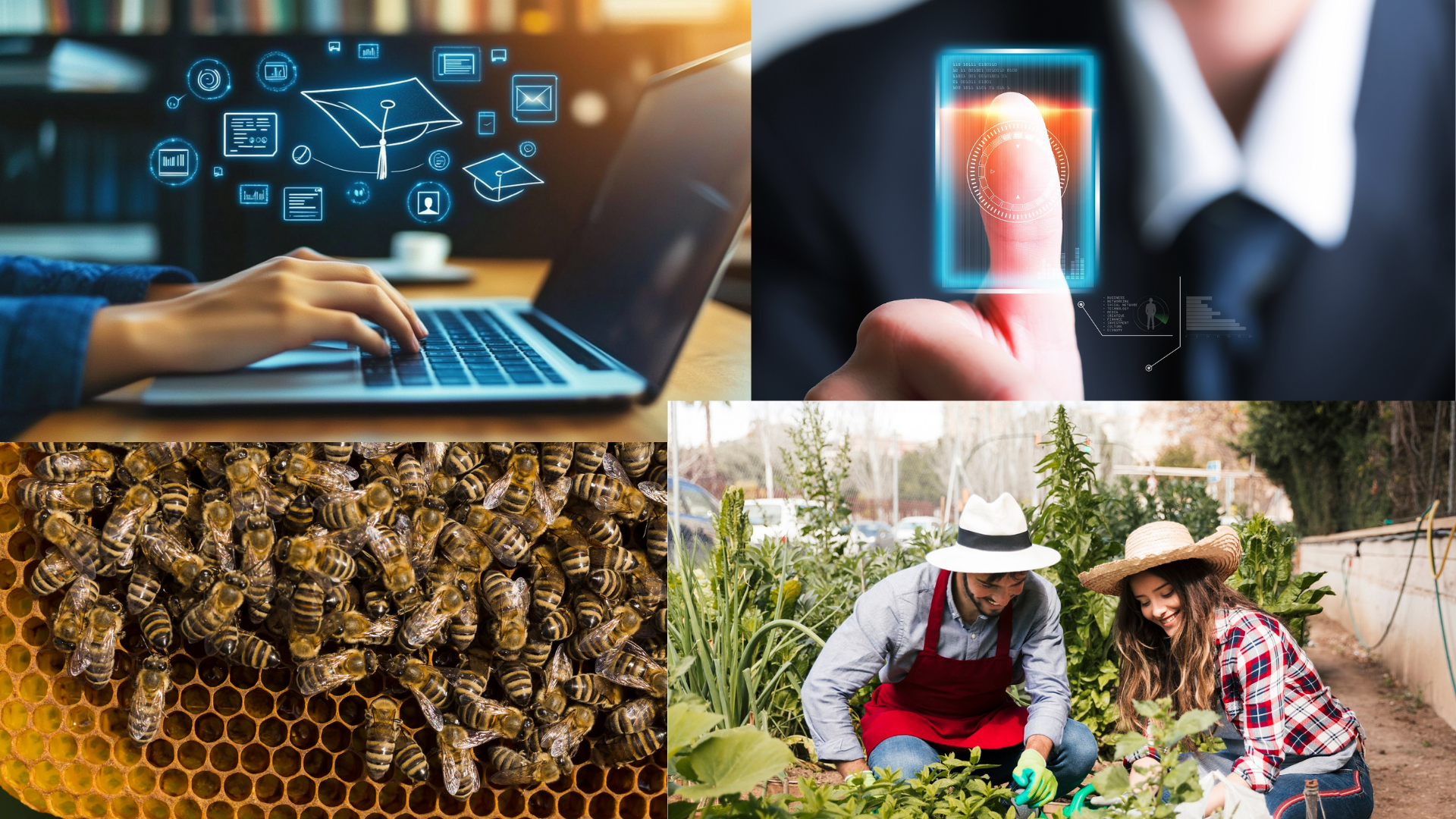 Four Projects, One Vision: Impacting Latin America with Blockchain