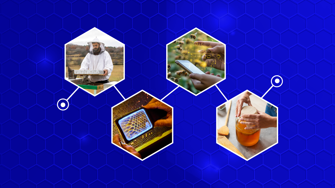 Honey in the Chain: Blockchain for Beekeeping