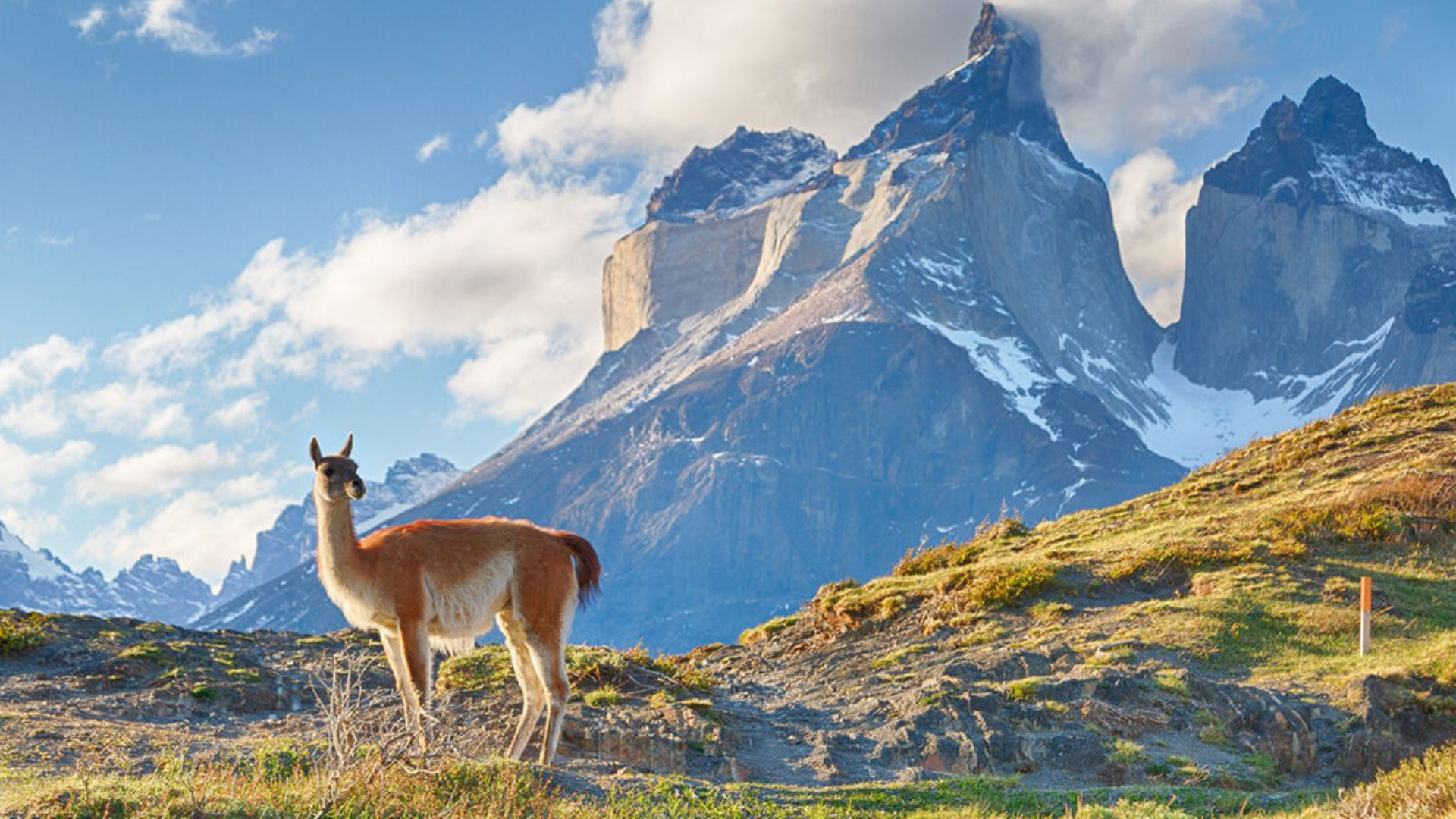 El proyecto Patagonia conecta el extremo sur del continente con las redes de Investigación y Educación